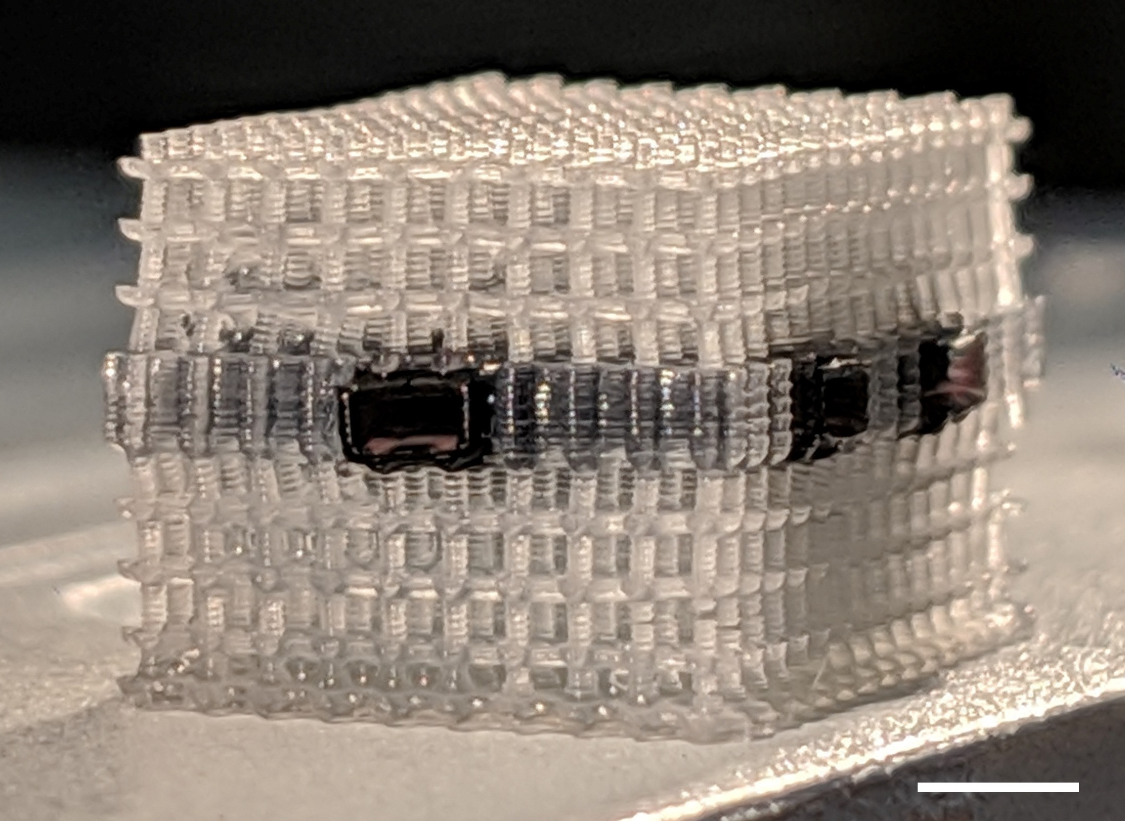 3D printed multi-material tissue scaffold